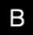 BIRKMOND logo